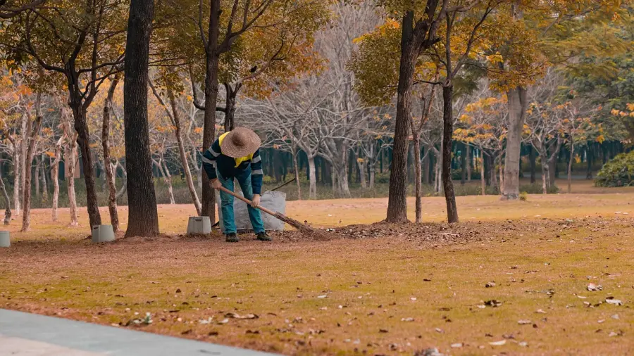 Piano del Parco, il TAR Lazio respinge il ricorso e sblocca l’approvazione