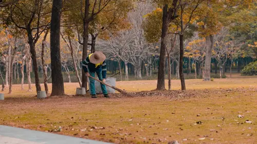 Piano del Parco, il TAR Lazio respinge il ricorso e sblocca l’approvazione