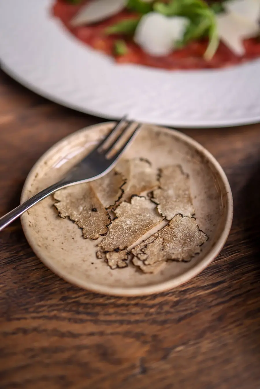 Il tartufo di San Pietro Avellana: guida al borgo molisano dei tartufi bianchi e neri