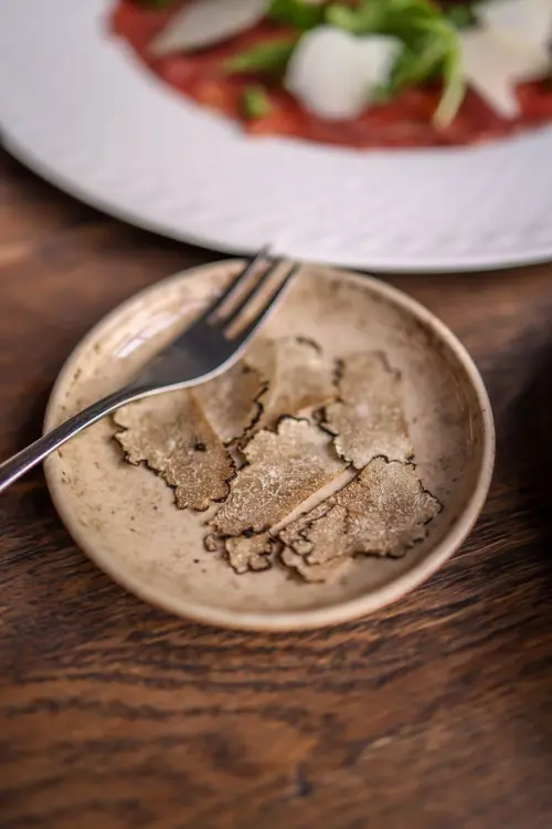 Il tartufo di San Pietro Avellana: guida al borgo molisano dei tartufi bianchi e neri